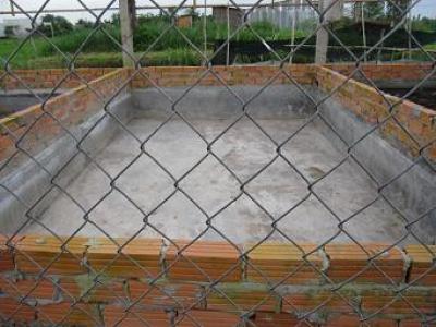 Quy trình nuôi ếch thịt